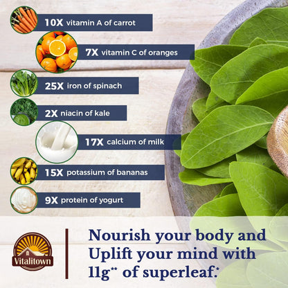 Organic Vitalitown Moringa Capsules 11,000 MG