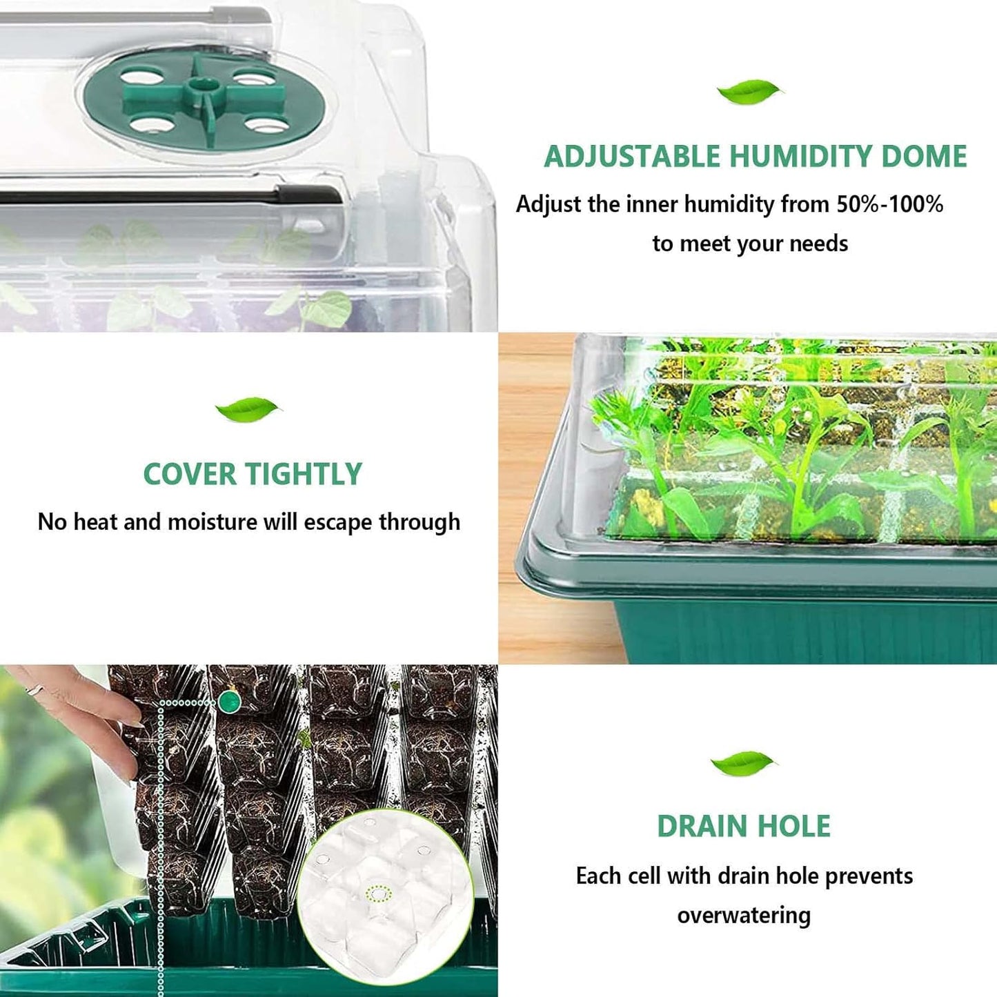 Seed Germination Tray Set