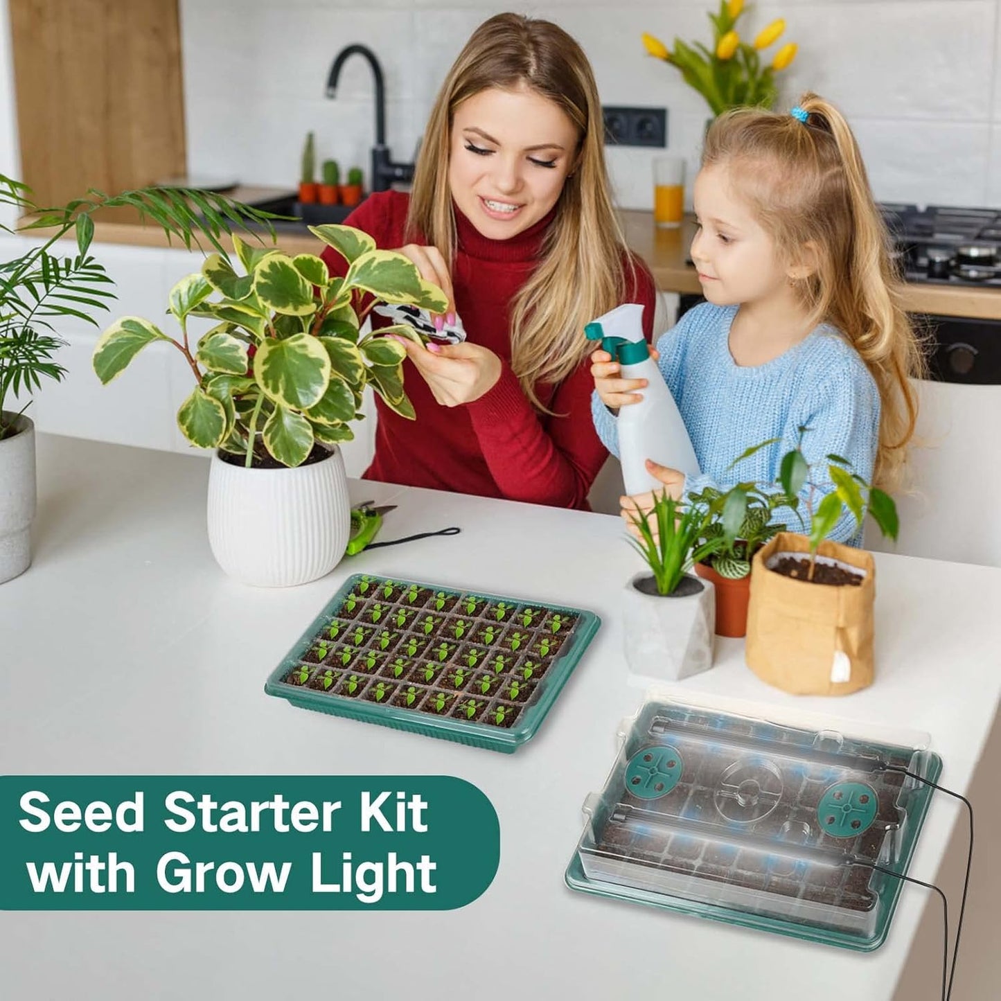 Seed Germination Tray Set