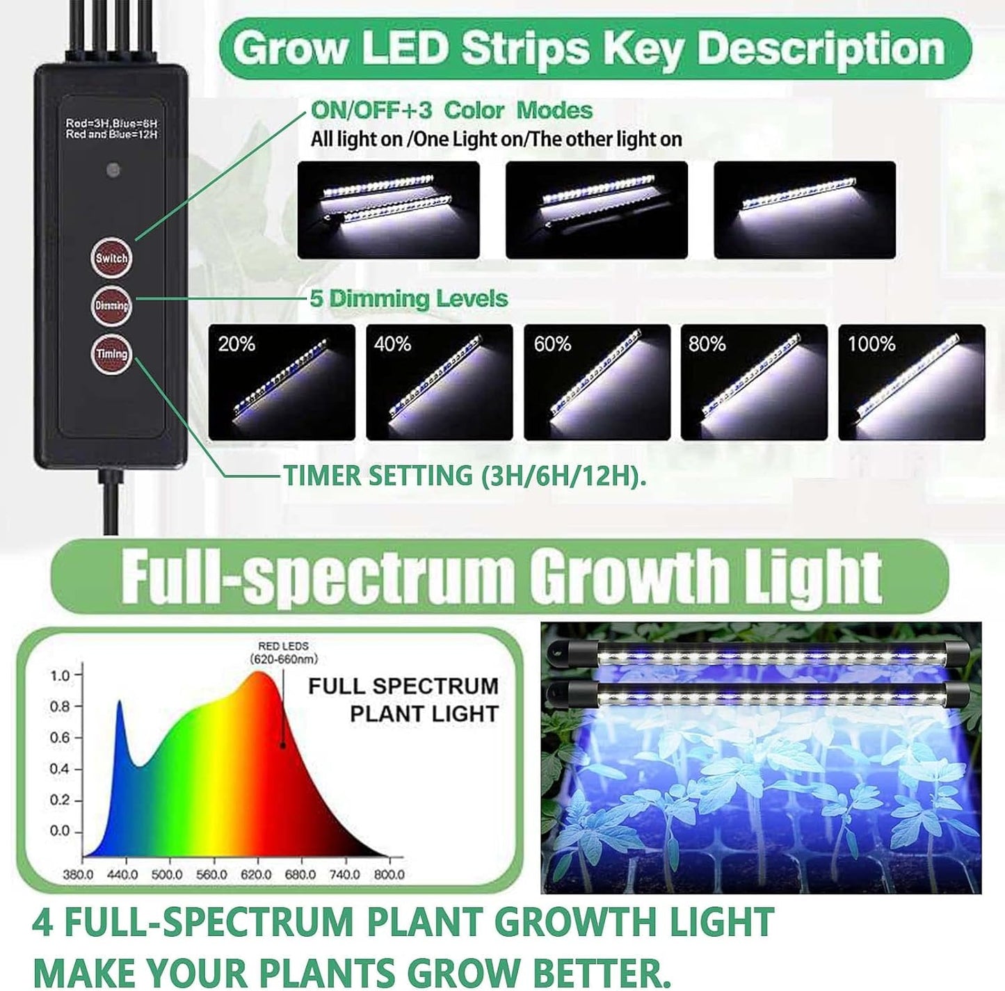 Seed Germination Tray Set