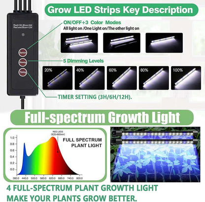 Seed Germination Tray Set